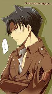 Levi Ackerman Cat Neko Cute Text Ears Attack On Titan Attack On Titan Levi Ackerman Attack On Titan Levi