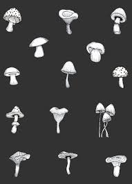 Black And White Mushroom Wallpaper Aesthetic Stickers Cute Mushroom Sticker Pack Plant Nature Girl Vibes In 2020 Aesthetic Stickers Nature Girl Hand Drawn Design