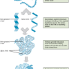 The extraction of dna from cells and its purification are of primary importance to the field of biotechnology and forensics. 1