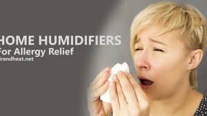 It creates an environment in which all bacteria and allergens are unable to thrive. A Home Humidifier Can Help Relieve Your Allergies Air Quality Heating Air Conditioning