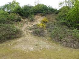 holton pit wikipedia