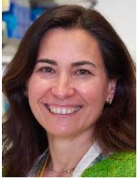 7th BenBedPhar Meeting