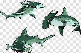 Hammerhead Shark Fish Great Drawing Transparent Png Shark hammerhead symbol fish cartoon icon animal sea marine element sketch creature species character nature outline ocean sharks cute whale emblem octopus hammerhead shark free vector we have about (161 files) free vector in ai, eps, cdr, svg vector illustration graphic art design format. hammerhead shark fish great drawing