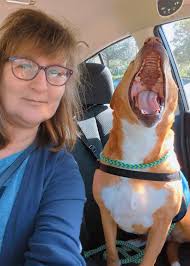 Sadie wanted to model today 💛