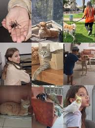 אנחנו משפחה של אוהבי חיות😍 זמינים לעשות בייביסיטר על חיות המחמד שלכם  בביתנו הקט,יחס חם ואישי,יש המלצות🤩