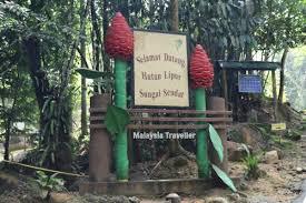 Maybe you would like to learn more about one of these? Sungai Sendat Waterfalls Hutan Lipur Sungai Sendat Closed