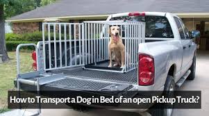 This has quality parts on it! How To Transport A Dog In Bed Of An Open Pickup Truck Safe Guide
