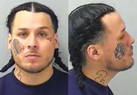 Elgin man charged with firing gunshots