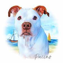 We did not find results for: Custom Pet Canvas Custom Pitbull Painting Dog Canvas Custom Pet Portrait Pet Portrait Canvas Dog Lover Gift Custom Dog Portrait Digital Prints Art Collectibles Delage Com Br