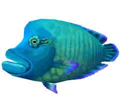 We hope that all the players who. 3ds Animal Crossing New Leaf Napoleonfish The Models Resource