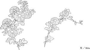 Clip art by chelnok 2 / 355 vector chrysanthemum flower. Line Drawing Of Flowers 31 Chrysanthemum 93551 Free Eps Download 4 Vector