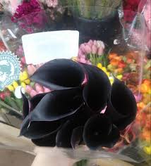 Send your lilies with our international delivery service! These Super Black Calla Lillies Mildlyinteresting
