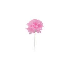 Maybe you would like to learn more about one of these? Beautiful Silk Carnation Flowers Rental Step And Repeat La