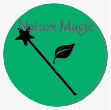 Magic Circle Png Images Transparent Magic Circle Image Download Pngitem