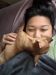 What are Chihuahuas' inherent qualities and attributes?