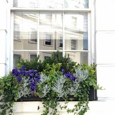 Plastic planter box rectangle planter flower box window flower box plastic window boxes less than 10 window boxes. Window Box Light Concrete Black Planter By Idealist Lite L80 W17 H17 5 Cm 24 Ltrs Cap From 54 99 Getpotted Com