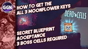 Chapter expected 08 december at dec. How To Get The 3 Moonflower Keys And Get The Acceptance Mutation Secret Blueprint Dead Cells Youtube
