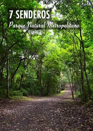 7 Senderos Del Parque Natural Metropolitano Parques Parques Naturales Ciudad De Panama