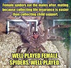 Pin By Jordan Adams On Funny Funny Animals Funny Pictures Funny Commercials