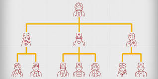 the hierarchy of nursing levels of nursing