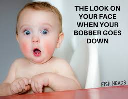 THE LOOK ON YOUR FACE WHEN YOUR BOBBER GOES DOWN FISH FISHHEADS HEADS