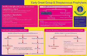 Image result for Group B Streptococcus Prophylaxis