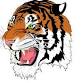 Waynesville Girls JV Basketball @ Carthage event image
