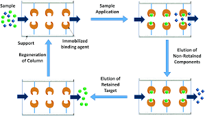 Jonas svensson is an actor, known for star wars: High Performance Affinity Chromatography And Related Separation Methods For The Analysis Of Biological And Pharmaceutical Agents Analyst Rsc Publishing