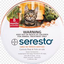 Kedi Kopek Pire Tasmasi Yavru Kedi Pire Seffaf Png Goruntusu