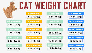 Their eyes are almost completely open, though their eyesight is still unfocused. Cat Weight Chart By Age In Kg Ib Clean Hd Charts