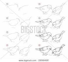 How to draw a village in 5 steps. How Draw Nature Step Vector Photo Free Trial Bigstock
