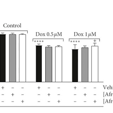 Image result for Afrostyrax