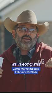 Hayden Lambert reporting