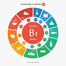 Le vitamine che fanno parte del gruppo b, svolgono una funzione preziosa per il metabolismo: Alla Scoperta Della Vitamina B Francesca Scaglia