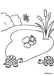 This coloring page features six whimsical owls perched on branches of a tree ready to be colored or painted! Pond Life Coloring Pages Coloring Home
