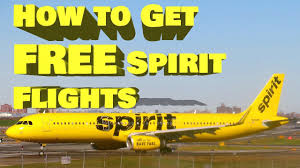 Not valid in exchange for cash, merchandise, or on gift card purchases. Spirit Airlines Gift Card Cute766