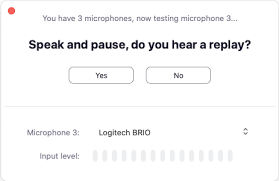 Discuss both these views and give your own opinion. Testing Computer Or Device Audio Zoom Help Center