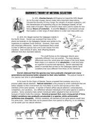 Darwin's theory of evolution by natural selection represents a giant leap in human understanding. Darwin S Theory Of Natural Selection Science With Mr Enns