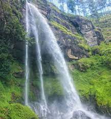 Unsur kebahasaan teks negosiasi warga dengan investor. Negosiasi Warga Dengan Investor Steemit