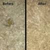 How to remove just about anything from carpet. 1