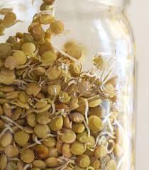 These are foods that you can find on every food store shelf and ones you can easily incorporate into recipes or eat alone. Lysine An Amino Acid That Keeps Viruses At Bay Nourishing Days