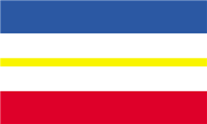 Image result for Glebionis carinata `German Flag`