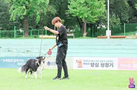 Hobi