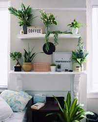 Love The Natural Light In My New College Apartment Just Moved In Yesterday College Apartment Cozy Place New College