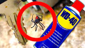 Spray directly on spiders, webs, or in places where you find them like. Will Raid Ant And Roach Kill Black Widows Golf