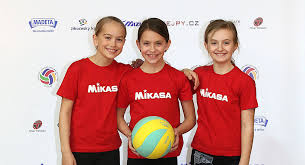 Check spelling or type a new query. Mini Volleyball Everything You Need To Know About Mini Volleyball Volleycountry