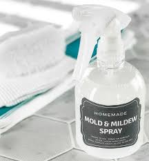 anti mold mildew spray one