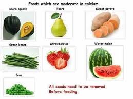 Thot This Was A Meme But It S Just What U Can Feed Ur Bearded Dragon Bearded Dragon Food Bearded Dragon Sweet Potato Green Beans