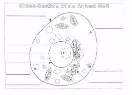 Powered by create your own. Cell Vocabulary And Directive Reading Diagram Quizlet