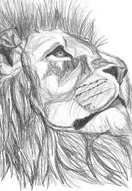 25 cool things to draw that are easy and fun for beginners. Pin By Jose Mendes On Real Lion Arts And Sketches Cool Art Drawings Art Drawings Sketches Art Drawings